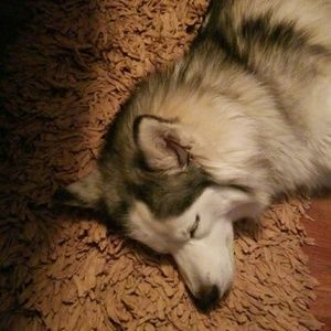 Meet your Posher, Bobbi